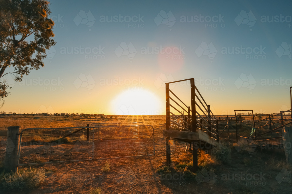 Rural stock yards in Central Victoria with vibrant sunset - Australian Stock Image