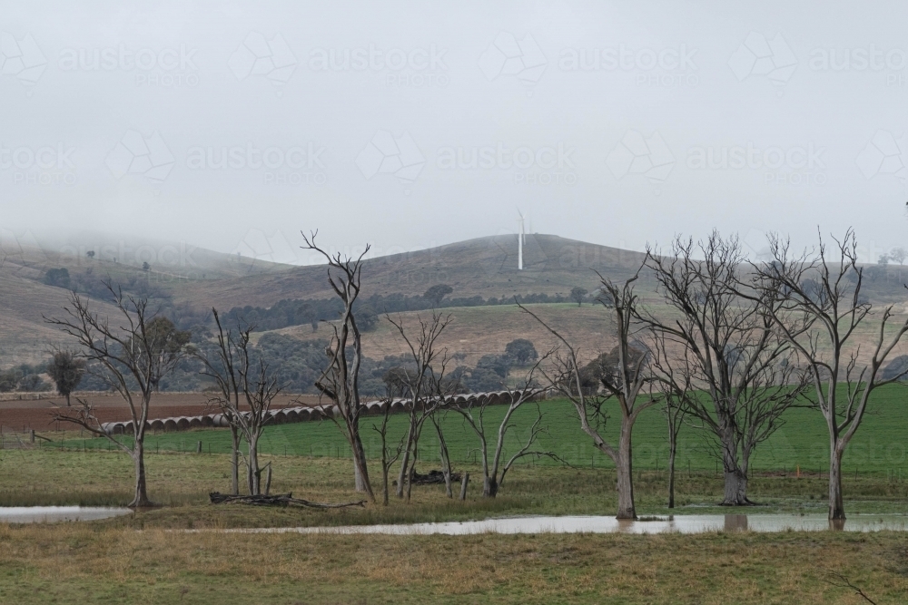 rural view of wind turbines under low cloud on the hillside - Australian Stock Image