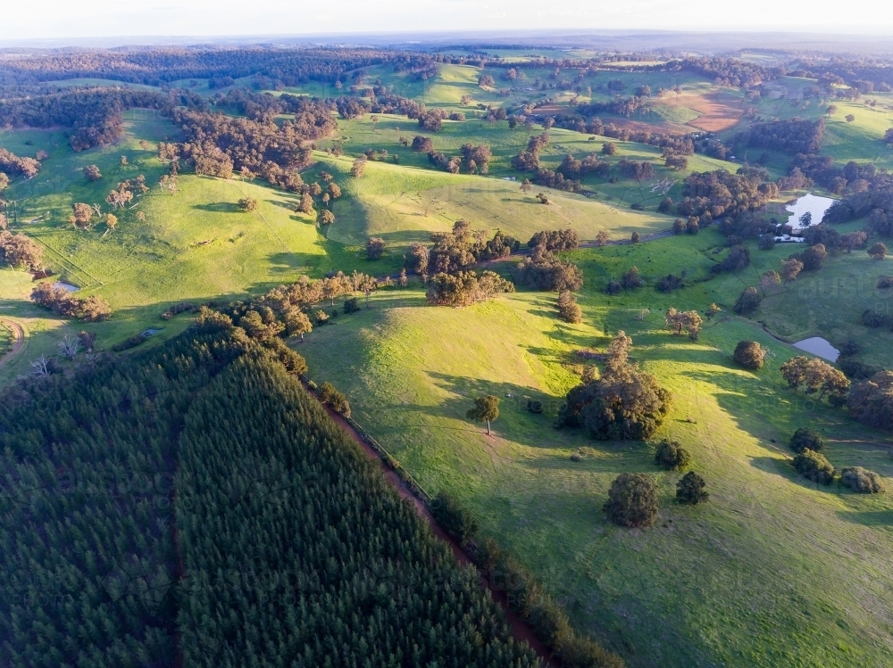 rural view over green rolling hills - Australian Stock Image