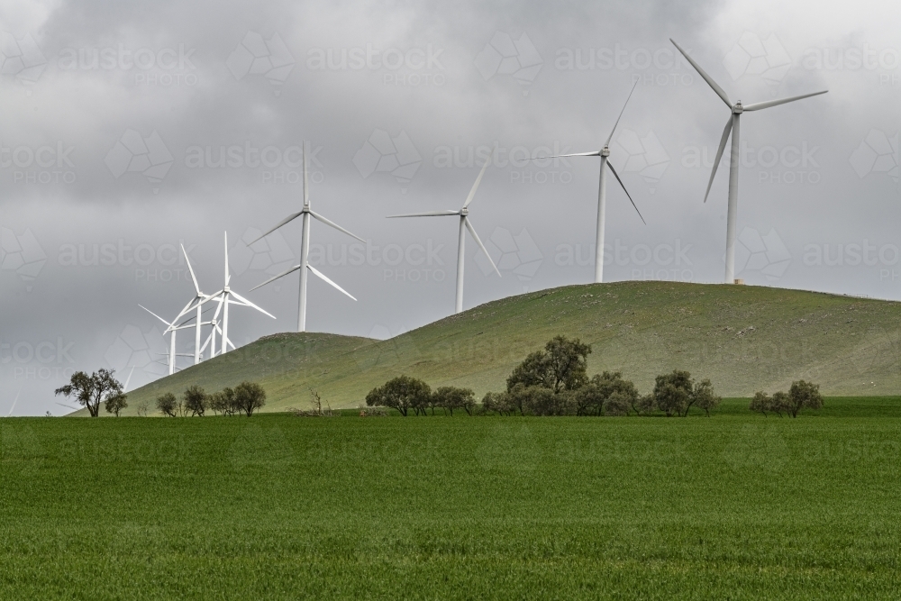 Rural wind turbines - Australian Stock Image