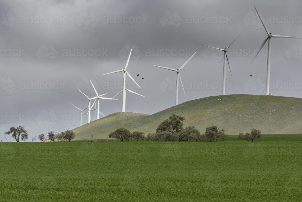 Rural wind turbines - Australian Stock Image