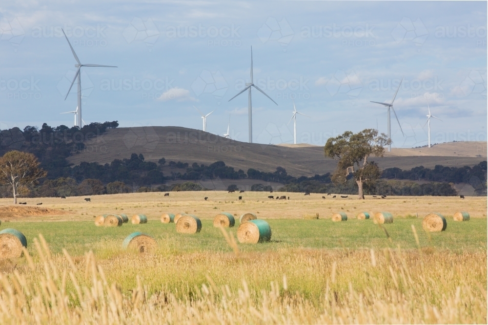 Rural Wind Turbines in a farm setting - Australian Stock Image
