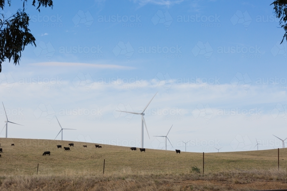 Rural Wind Turbines in a farm setting - Australian Stock Image