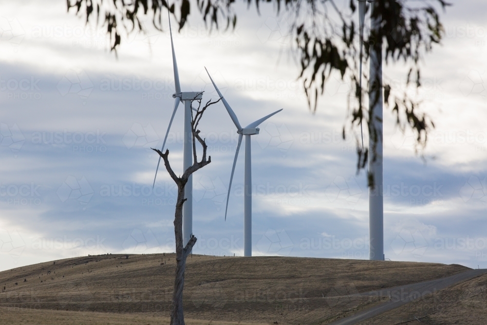 Rural Wind Turbines in a farm setting - Australian Stock Image