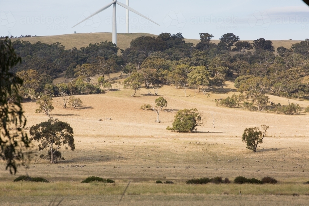 Rural Wind Turbines in a farm setting - Australian Stock Image