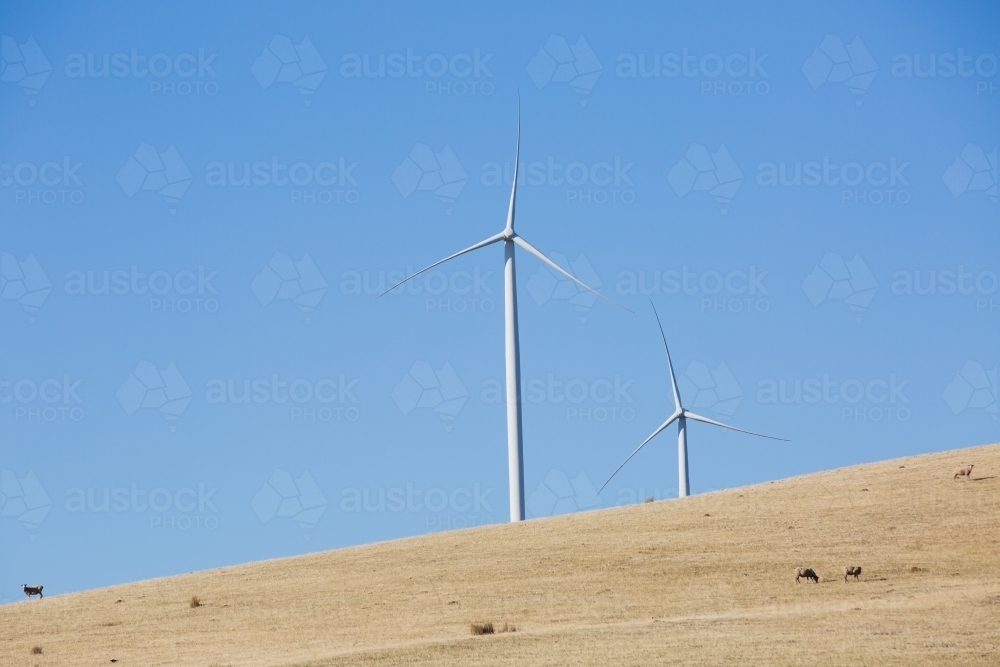 Rural Wind Turbines in a farm setting - Australian Stock Image