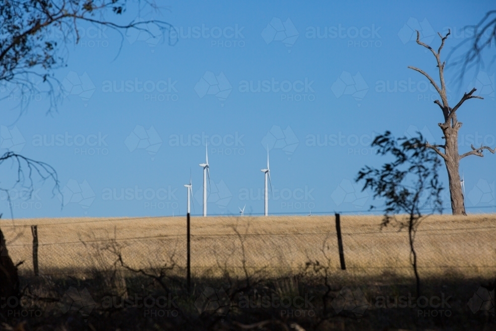 Rural Wind Turbines in a farm setting - Australian Stock Image