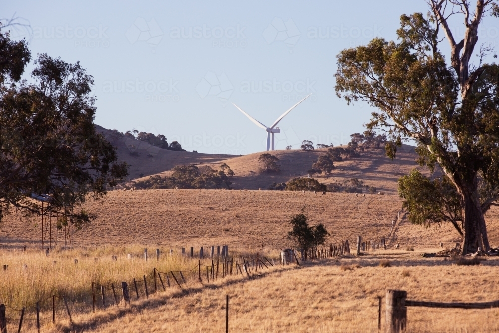 Rural Wind Turbines in a farm setting with a paddock in the foreground - Australian Stock Image