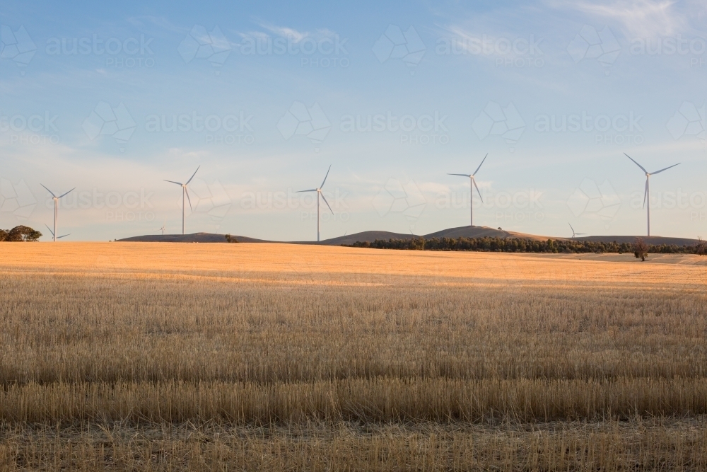 Rural Wind Turbines in a farm setting with evening sunlight across the paddocks - Australian Stock Image