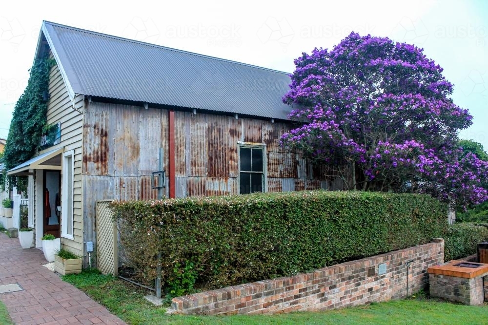 Rustic country shop with rusty tin walls and gardens - Australian Stock Image