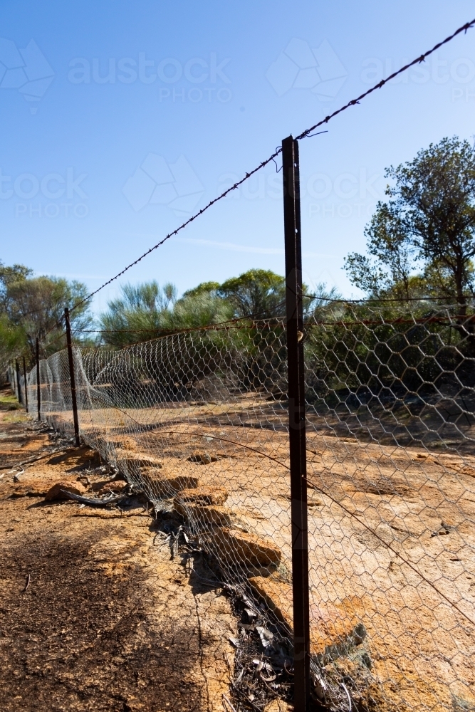 rusty fence along bush line - Australian Stock Image