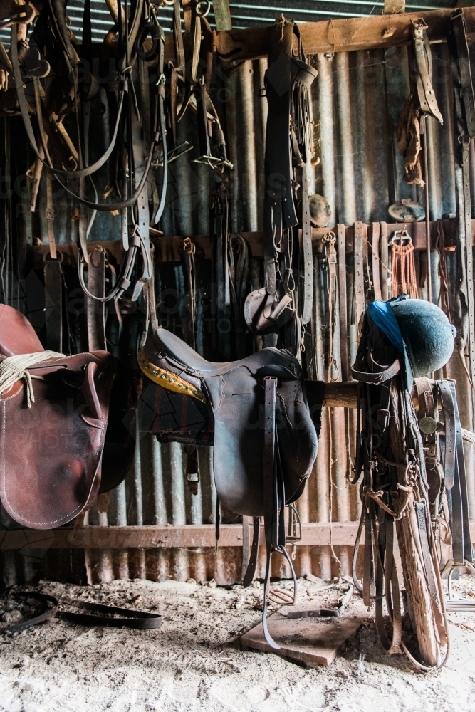 Saddles and bridles hanging in tack shed - Australian Stock Image