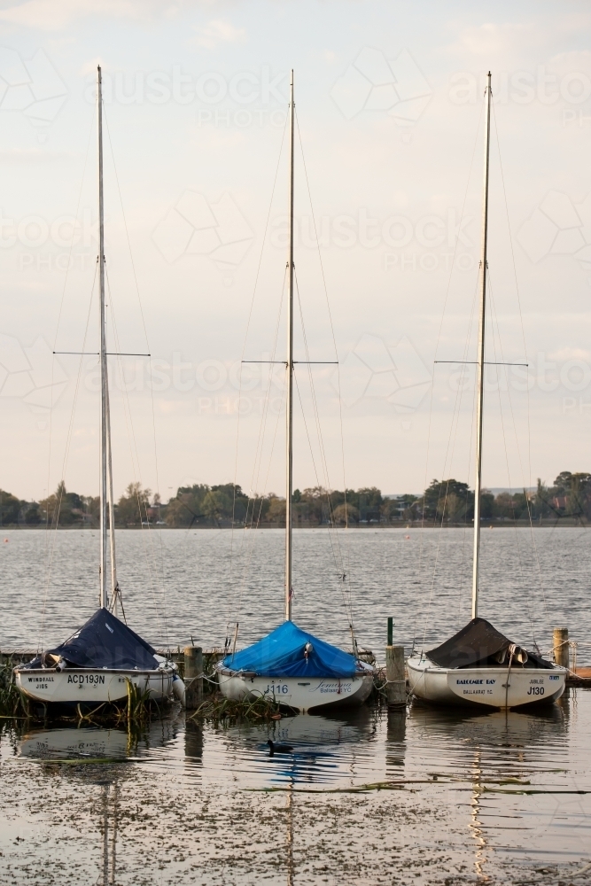 sail boats moored on a lake - Australian Stock Image