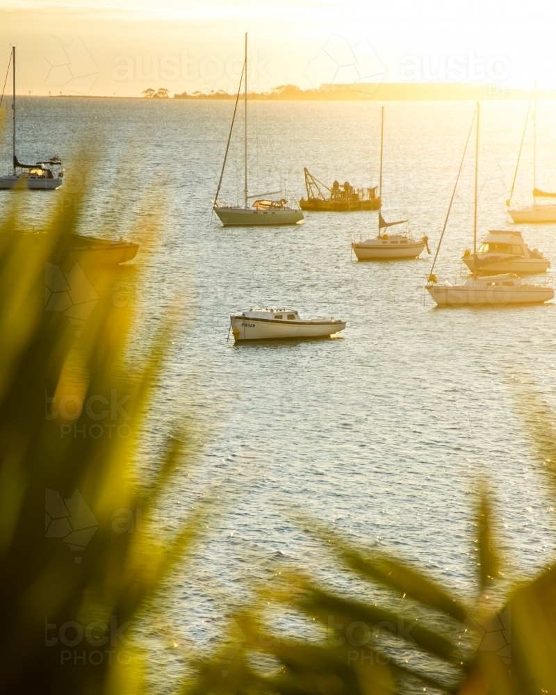 Sail boats on the water at sunset - Australian Stock Image