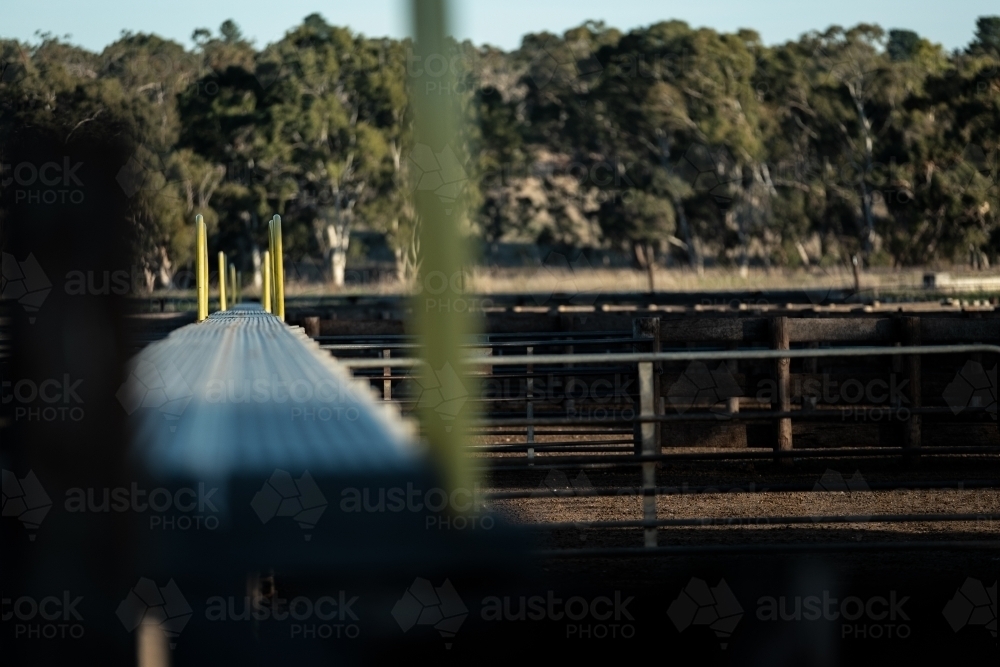 Saleyard Rails - Australian Stock Image