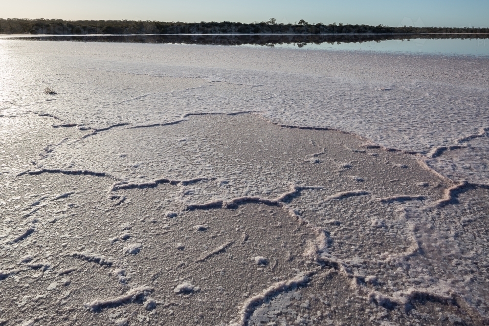 Salt crust pattern on salt lake - Australian Stock Image