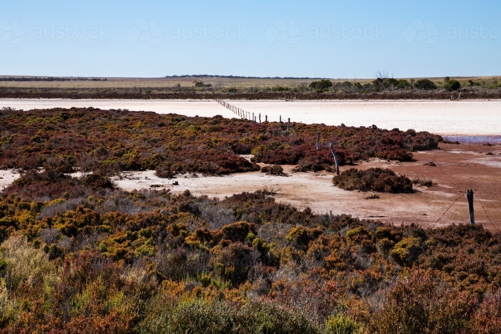 Salt crusted claypan on farming land, horizontal - Australian Stock Image
