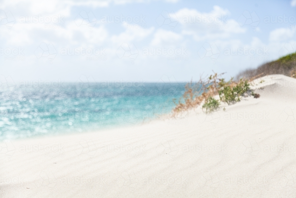 Image of Sand blowing off the tops of a sand dune in the coastal wind Austockphoto