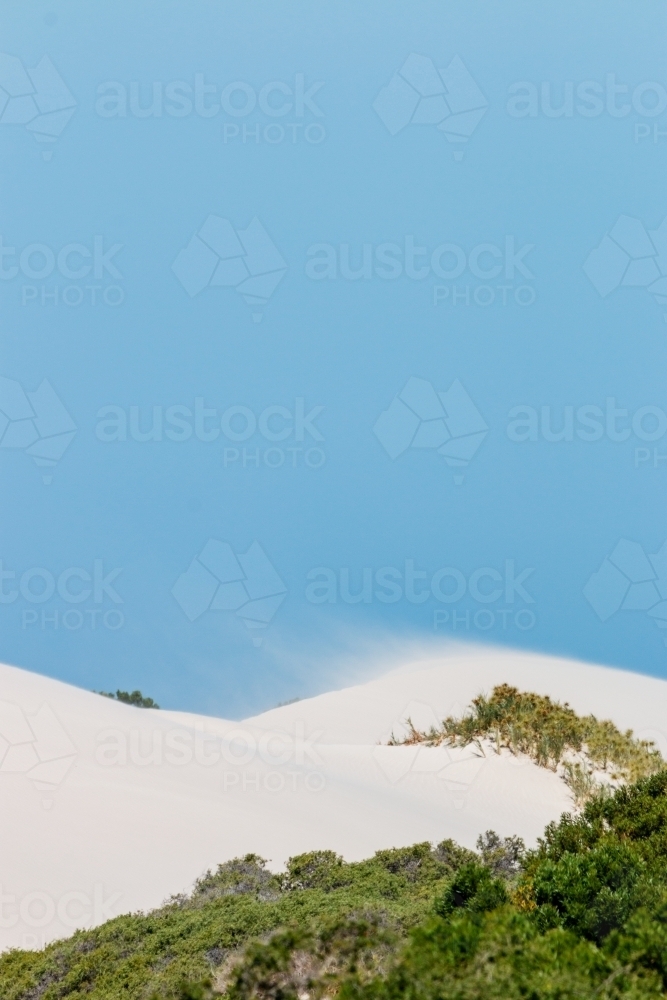 sand drifting on white dunes under blue sky vertical - Australian Stock Image