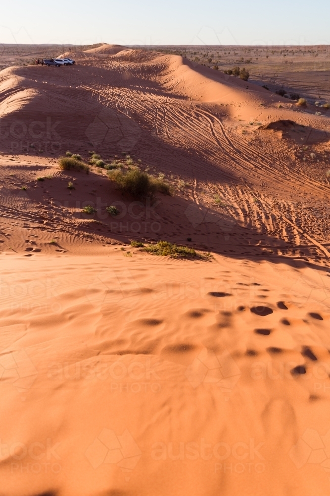 Sand dune with tracks in channel country - Australian Stock Image