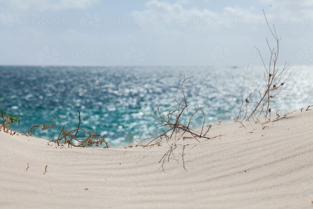 Sand dunes and the sea patterns change in the wind - Australian Stock Image