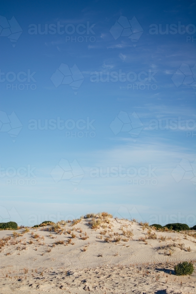 Sand Dunes at Eucla - Australian Stock Image
