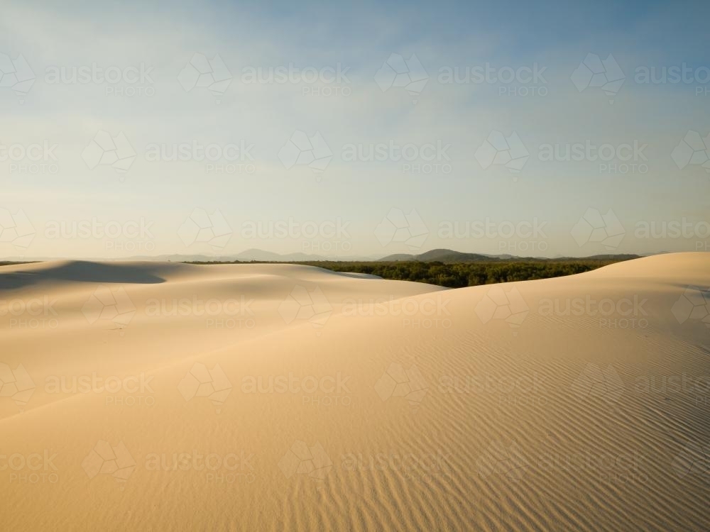 Sand dunes - Australian Stock Image