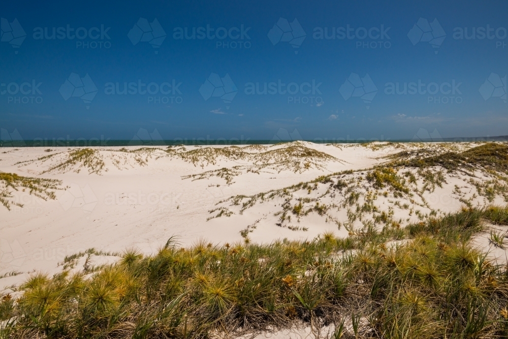 sand dunes by the coast - Australian Stock Image