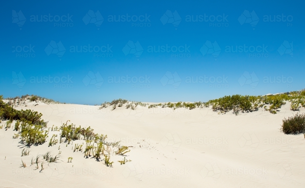 Sand dunes, vegetation and blue sky - Australian Stock Image