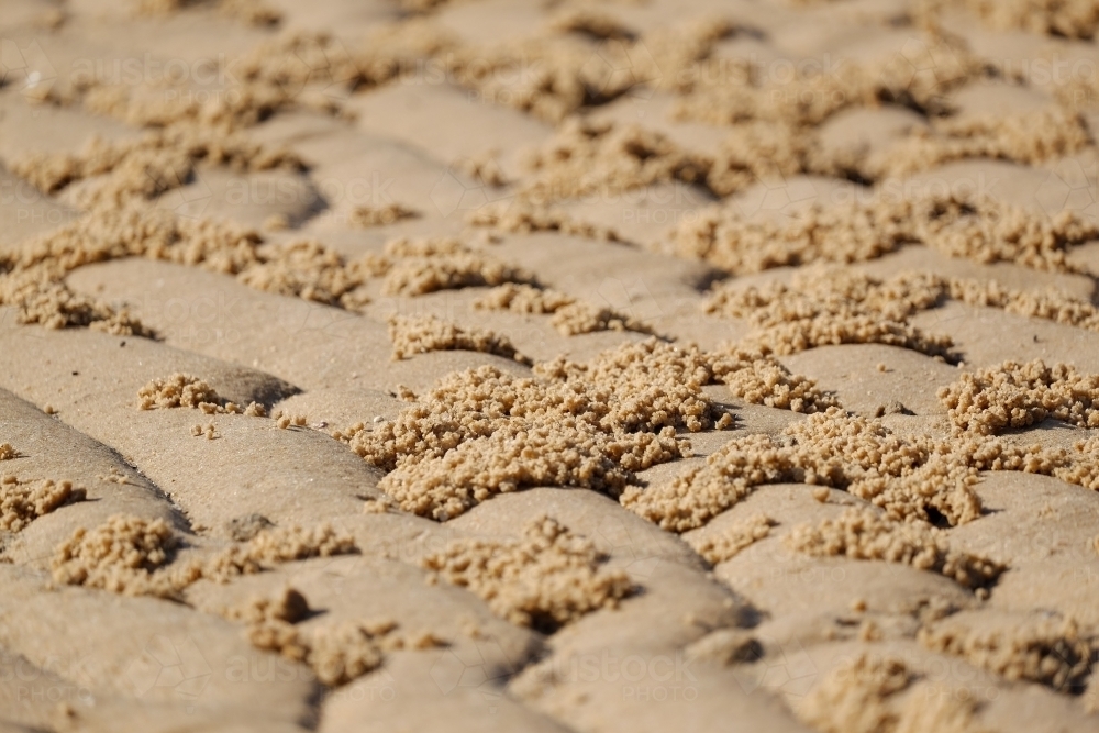 Sand pellets left behind from light blue soldier crabs - Australian Stock Image