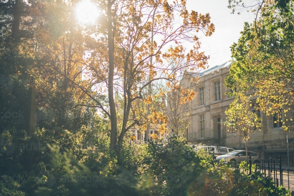 Sandstone building between foliage in urban park - Australian Stock Image