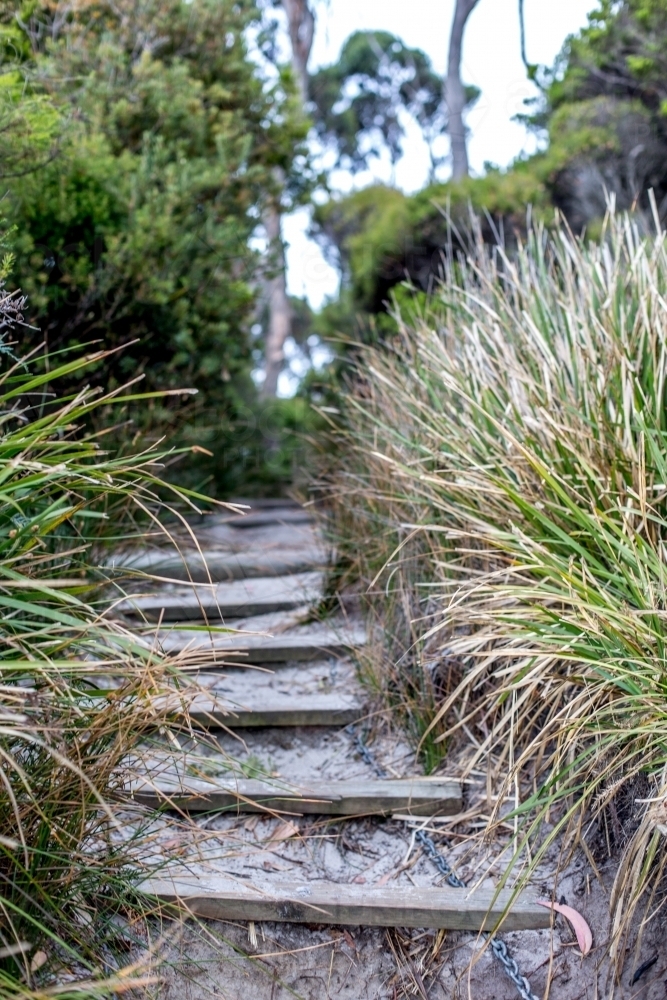 Sandy wooden steps lead up from the beach into the bush behind - Australian Stock Image