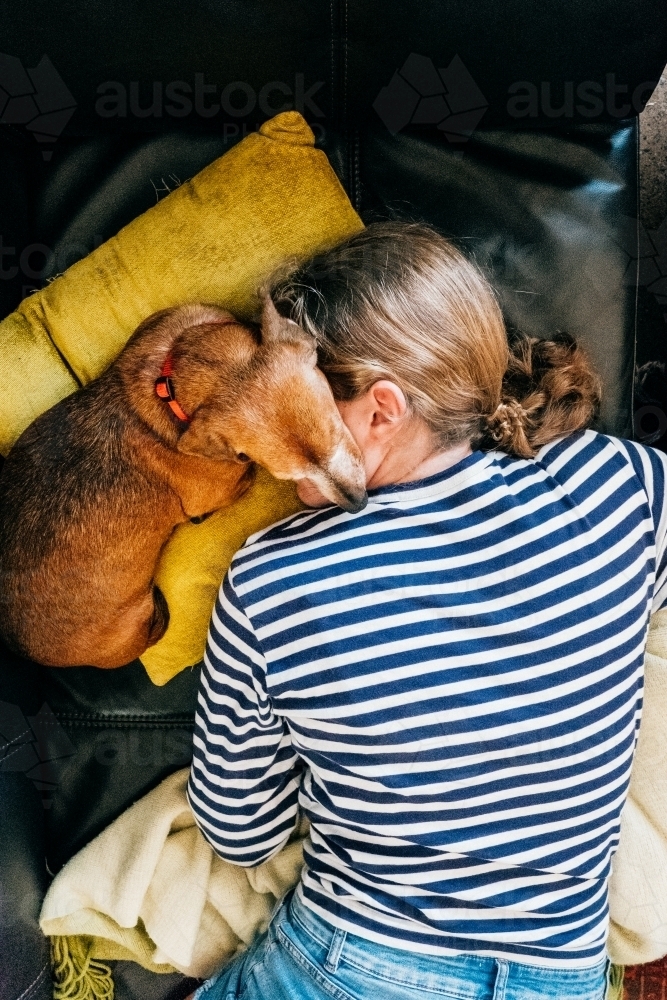 Sausage dog asleep on its owners face. - Australian Stock Image