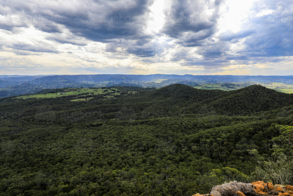 Scenic view from Hargraves Lookout in the Blue Mountains overlooking Grose Valley with forested land - Australian Stock Image