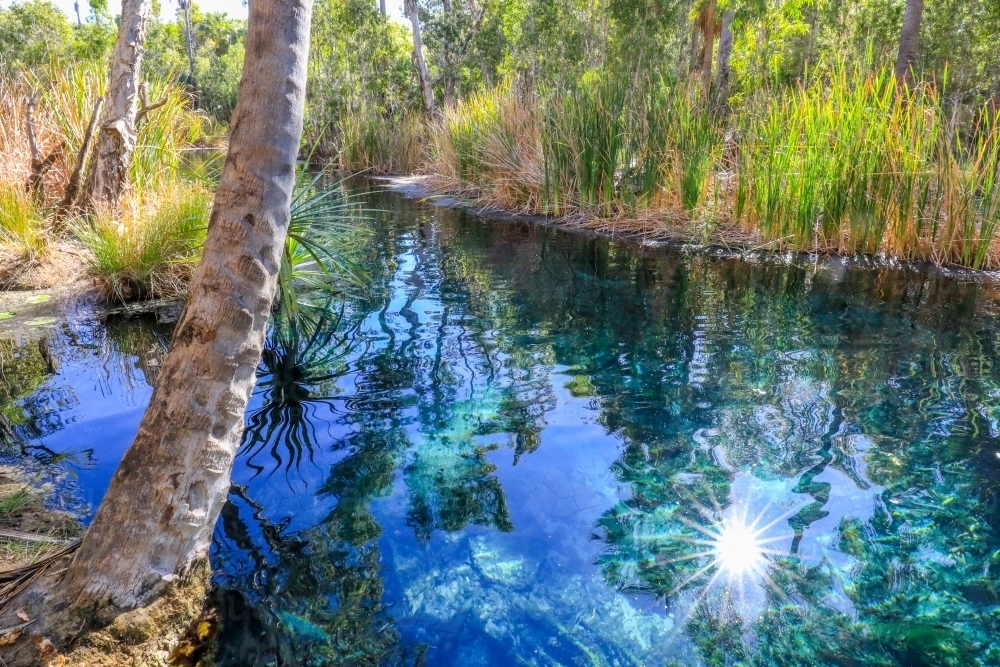 Scenic view of sun reflecting off the thermal pool of Bitter Springs - Australian Stock Image