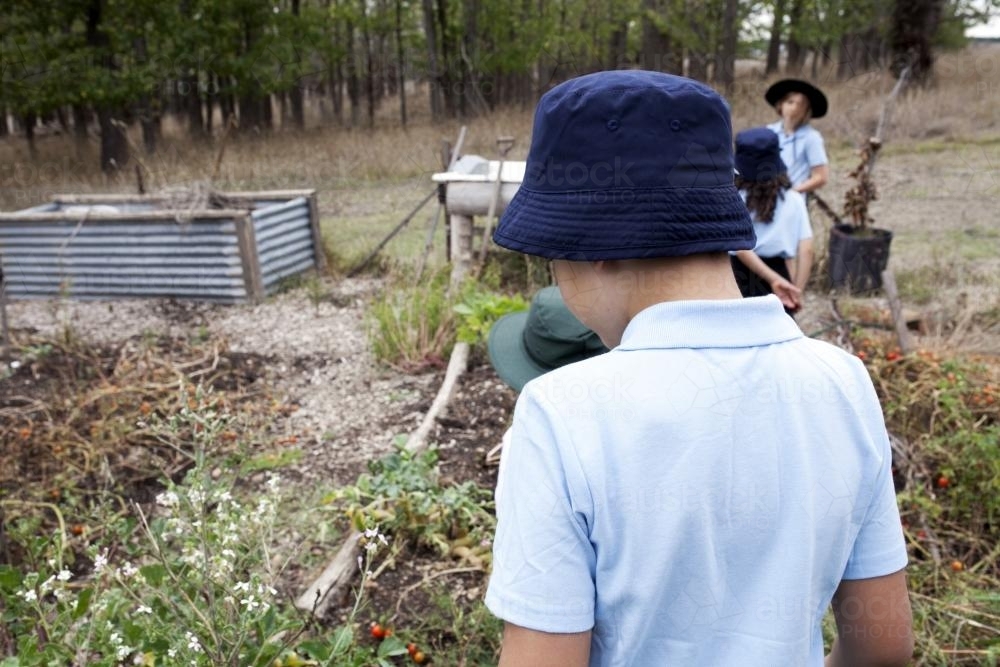 School kids outside exploring the veggie patch - Australian Stock Image