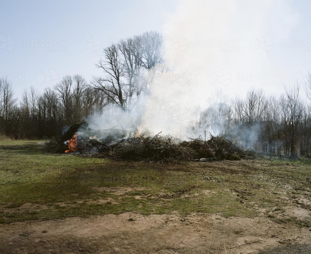 Scrub burnoff in bush clearing - Australian Stock Image