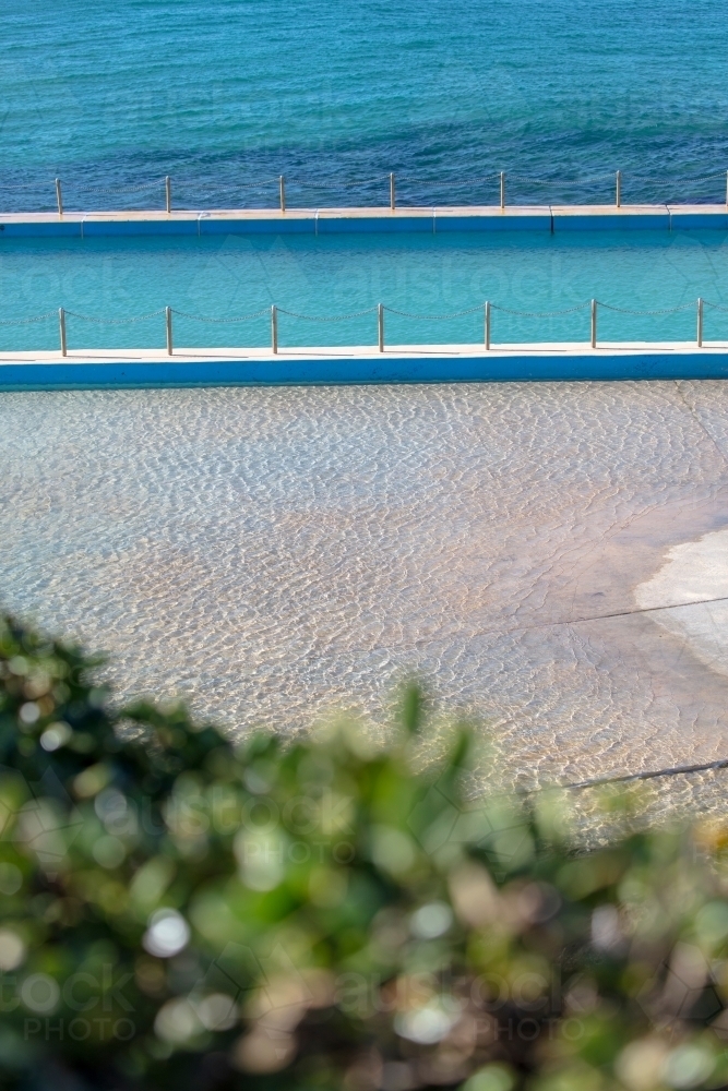Sea pool with tree in foreground - Australian Stock Image