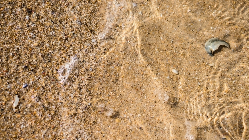 Sea, sand, shells - Australian Stock Image