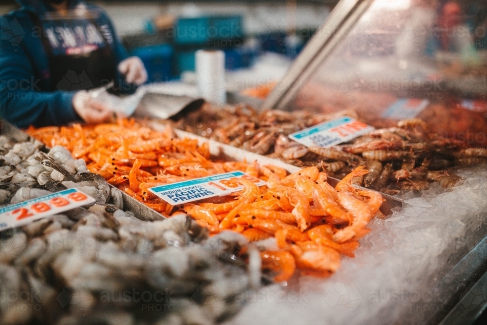 seafood for sale at Flemington Farmers Market in Sydney - Australian Stock Image