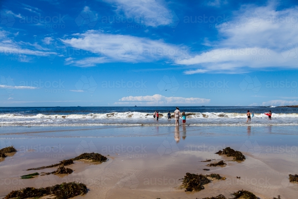 Seaweed along shoreline of beach on summers day with people swimming in water - Australian Stock Image