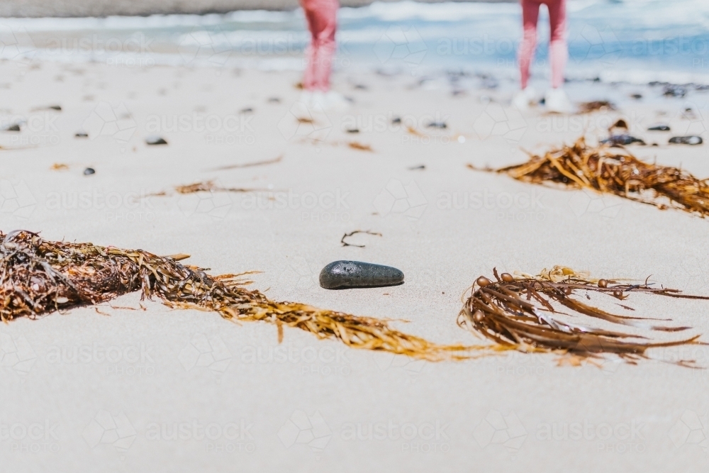 Seaweed and pebbles on beach - Australian Stock Image