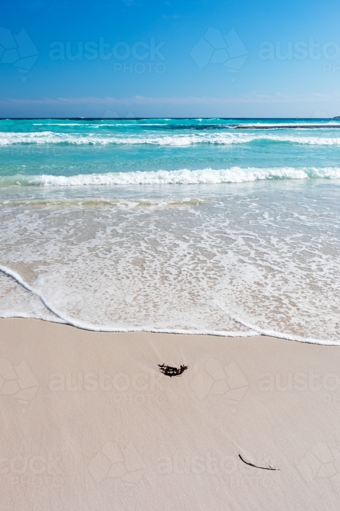 seaweed on beach with waves rolling in vertical - Australian Stock Image