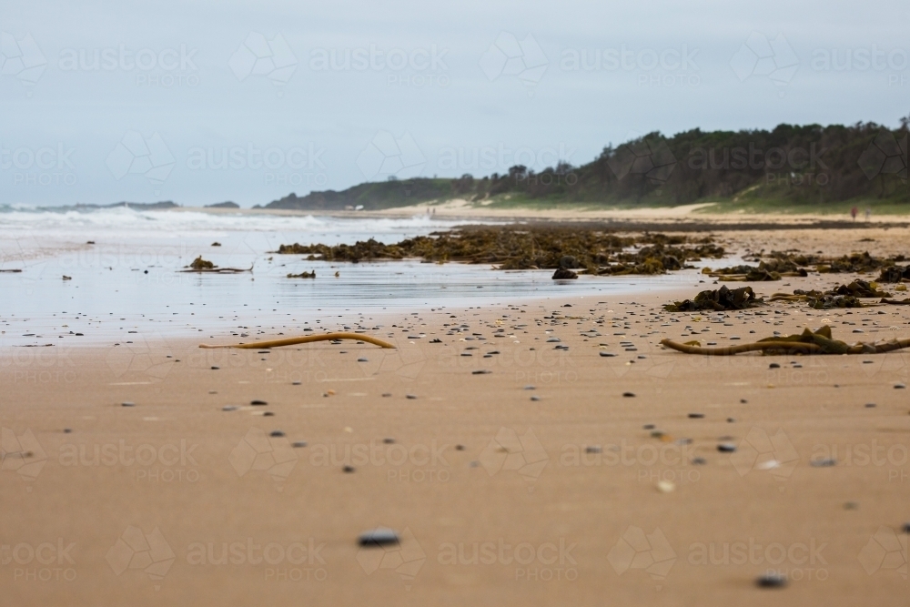 Seaweed washed up on sand on beach - Australian Stock Image