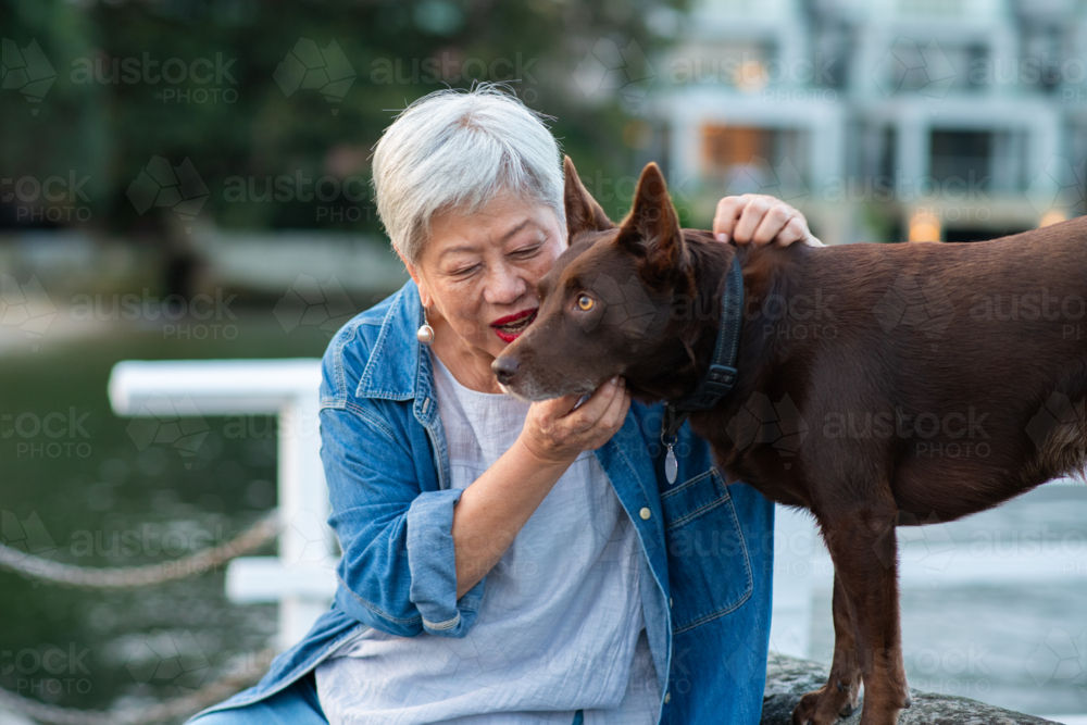 senior asian woman wome red kelpie dog - Australian Stock Image