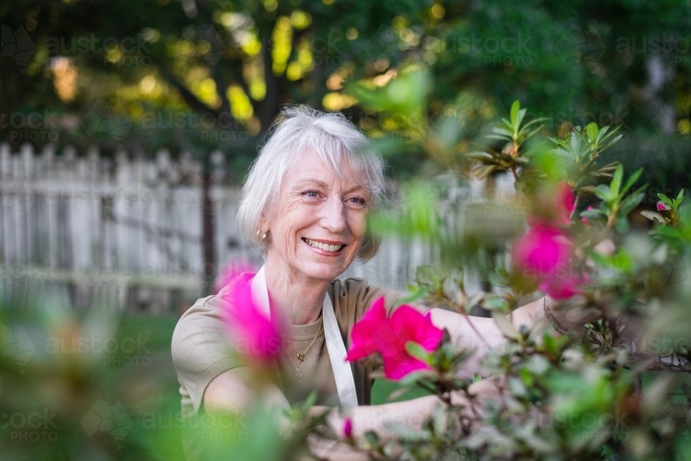 senior woman gardening - Australian Stock Image