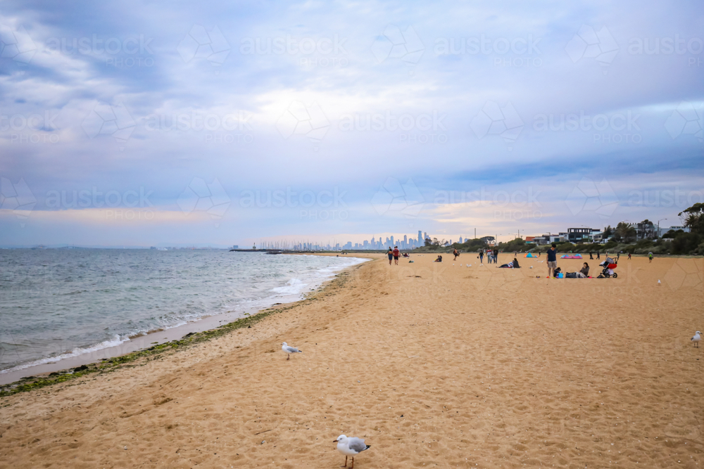 Serene beach with visitors, seagulls near shoreline, city skyline in distance - Australian Stock Image