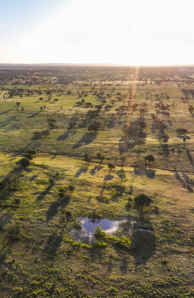 Serene landscape with sparse trees and small dam from aerial view - Australian Stock Image