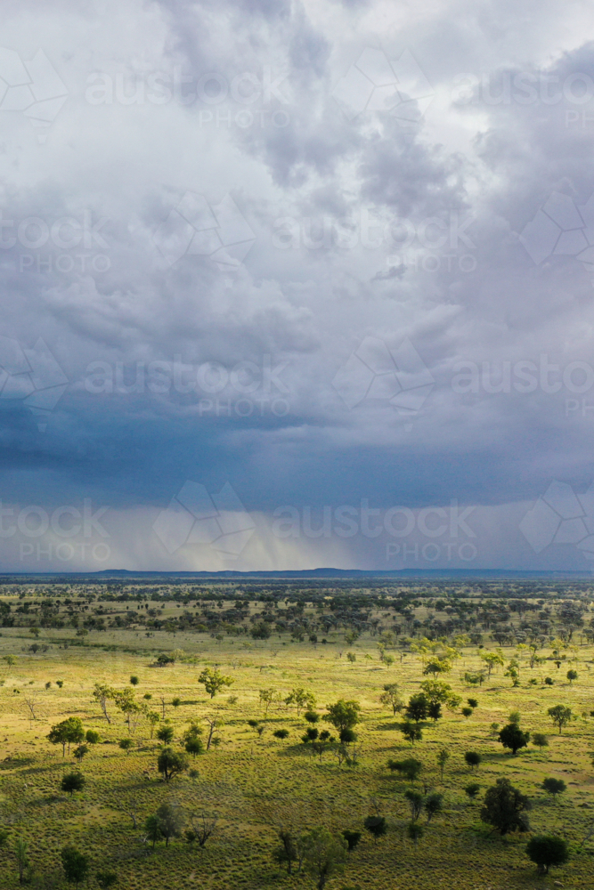 Serene landscape with sparse trees under dark cloudy skies - Australian Stock Image