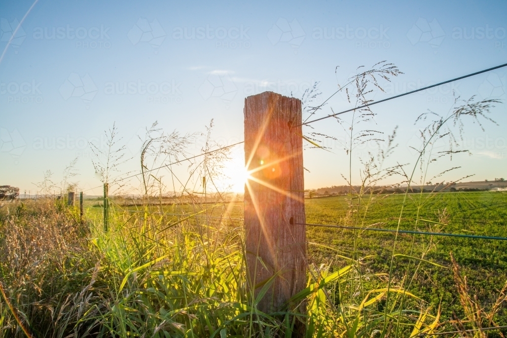 Setting sun shines from behind rural paddock fence post - Australian Stock Image